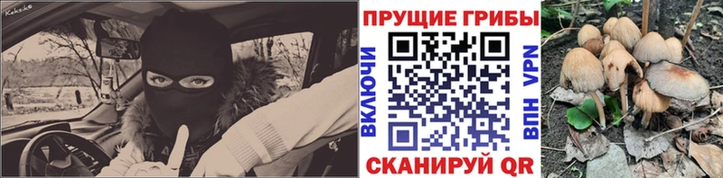 Галлюциногенные грибы Cubensis  Нижние Серги 